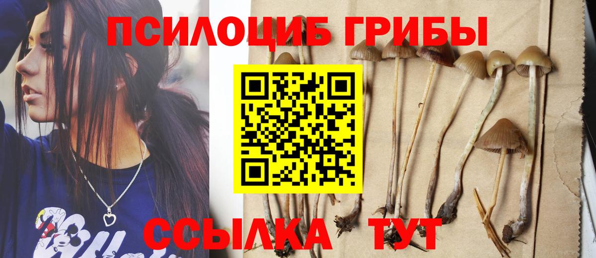 Псилоцибиновые грибы Psilocybine cubensis Кыштым