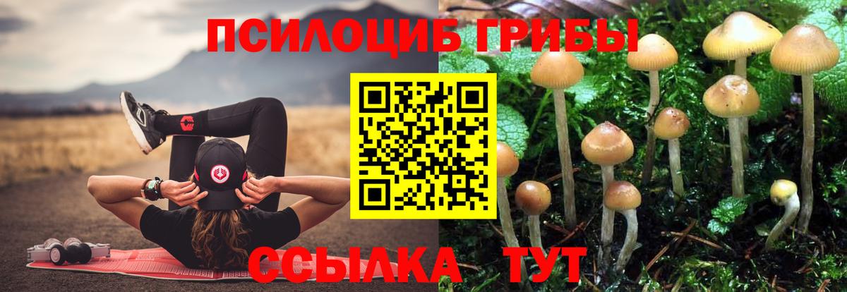 Псилоцибиновые грибы Psilocybe  купить наркотики сайты  Вход с VPN  Кыштым  Псилоцибиновые грибы MAGIC MUSHROOMS 
